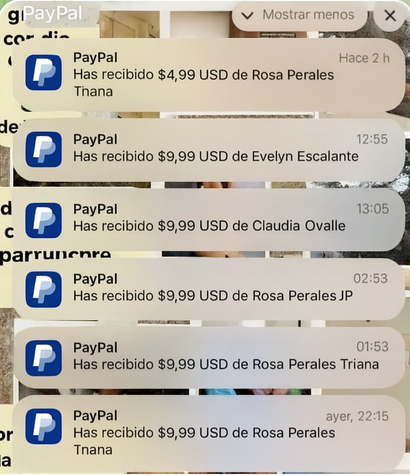 Prueba de ventas PayPal