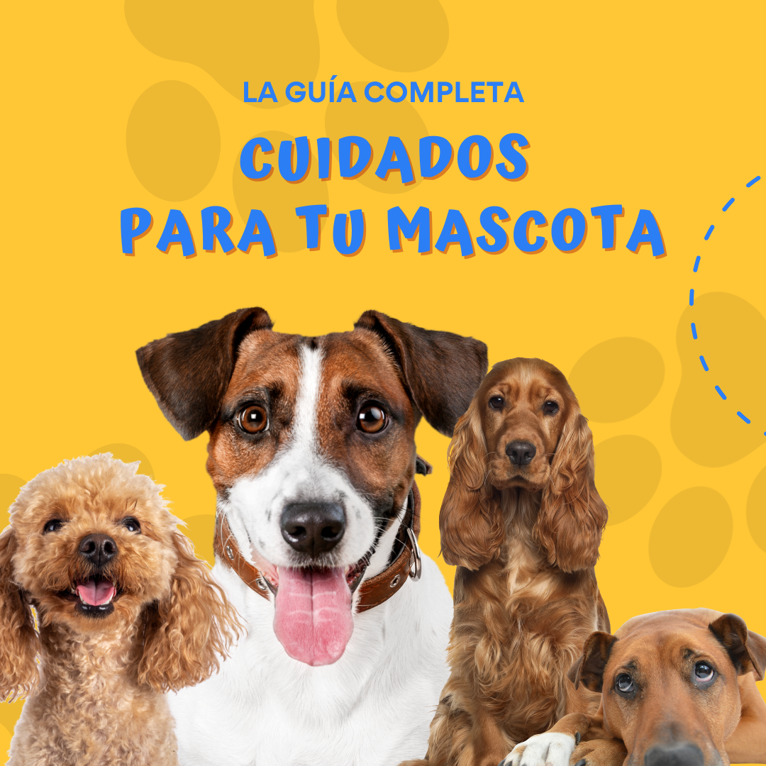 Cuida tu Mascota